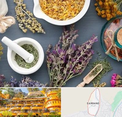 سم زدایی در دربند