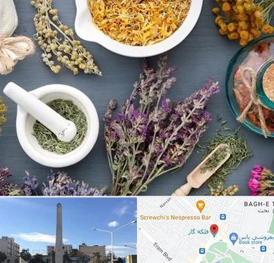 سم زدایی در فلکه گاز شیراز 