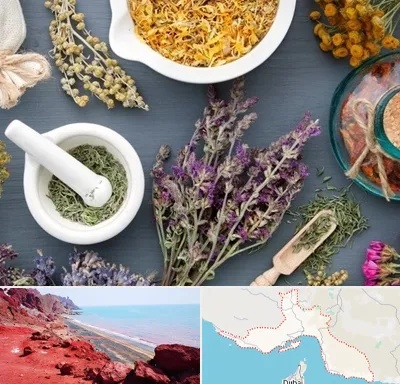 سم زدایی در هرمزگان