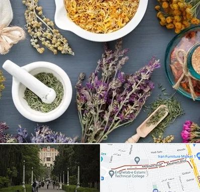 سم زدایی در بلوار معلم رشت 