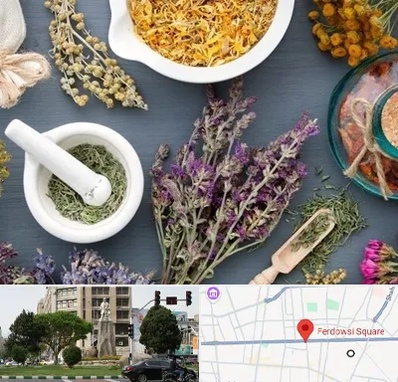سم زدایی در میدان فردوسی تهران