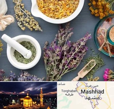 سم زدایی در مشهد