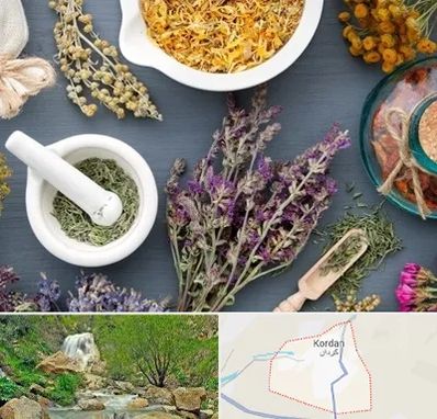 سم زدایی در کردان