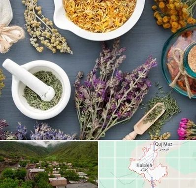 سم زدایی در کلاله