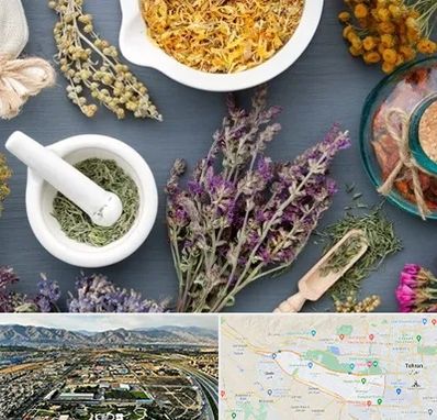 سم زدایی در منطقه 21 تهران 