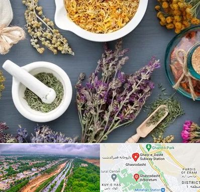 سم زدایی در قصرالدشت شیراز 