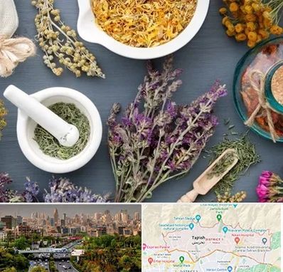 سم زدایی در منطقه 1 تهران 