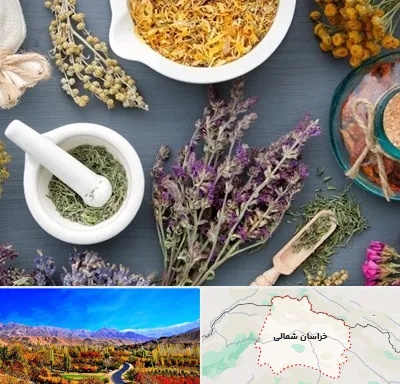 سم زدایی در خراسان شمالی