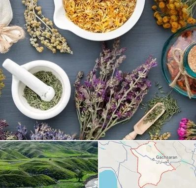 سم زدایی در گچساران