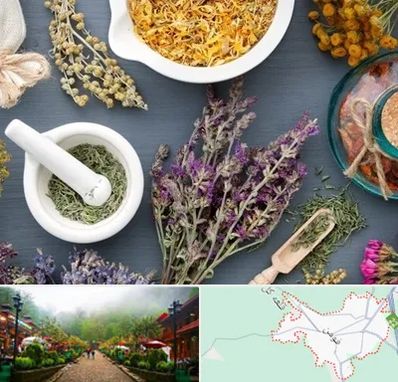 سم زدایی در فومن