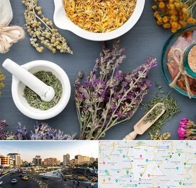 سم زدایی در منطقه 7 تهران 