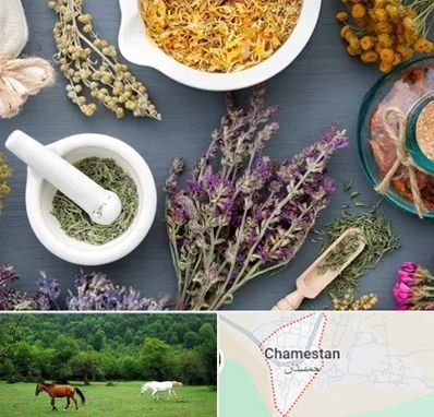 سم زدایی در چمستان