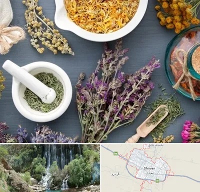 سم زدایی در شیروان