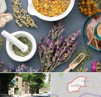 سم زدایی در دزاشیب