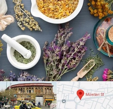 سم زدایی در مولوی