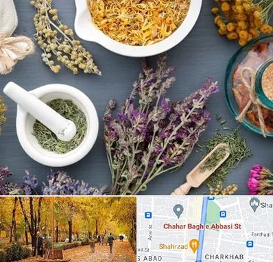 سم زدایی در چهارباغ اصفهان 