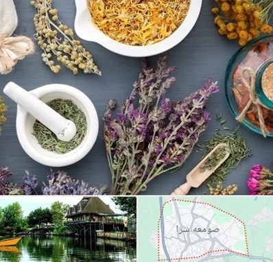 سم زدایی در صومعه سرا