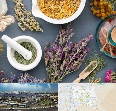 سم زدایی در منطقه 15 تهران 