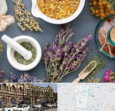 سم زدایی در منطقه 11 تهران 