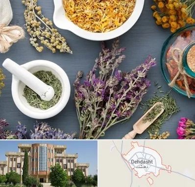 سم زدایی در دهدشت