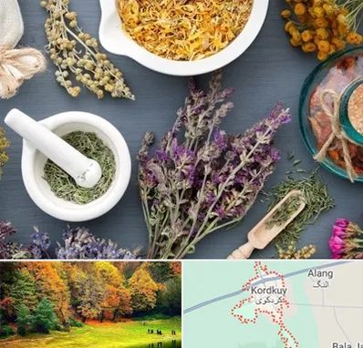 سم زدایی در کردکوی