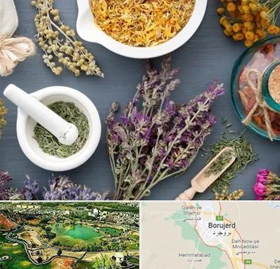 سم زدایی در بروجرد