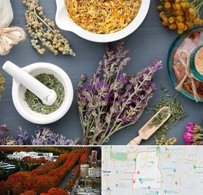 سم زدایی در منطقه 6 تهران 