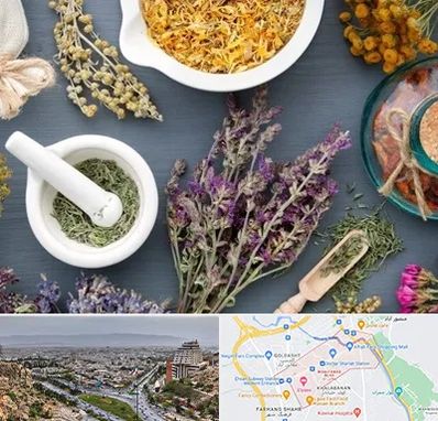 سم زدایی در معالی آباد شیراز 