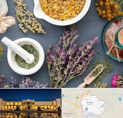 سم زدایی در برازجان