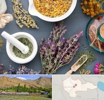 سم زدایی در خاش