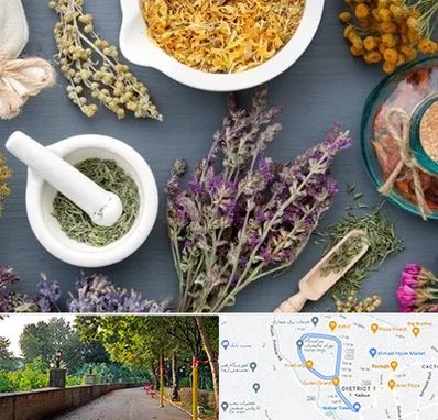 سم زدایی در بلوار گیلان رشت 