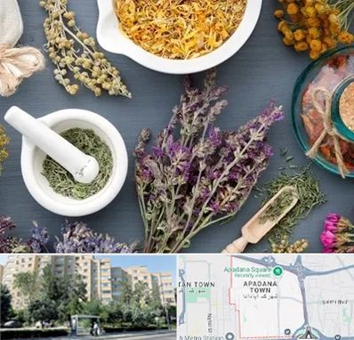 سم زدایی در آپادانا