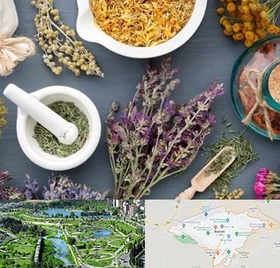 سم زدایی در بجنورد