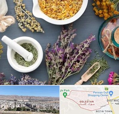 سم زدایی در شهرک گلستان شیراز 