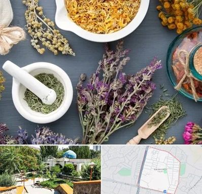 سم زدایی در باغمیشه تبریز