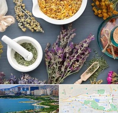 سم زدایی در منطقه 22 تهران 