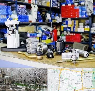 فروشگاه لوازم خودرو در باغ فیض