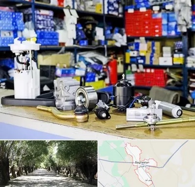 فروشگاه لوازم خودرو در باغستان