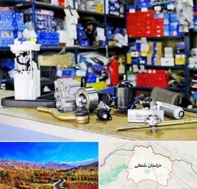 فروشگاه لوازم خودرو در خراسان شمالی