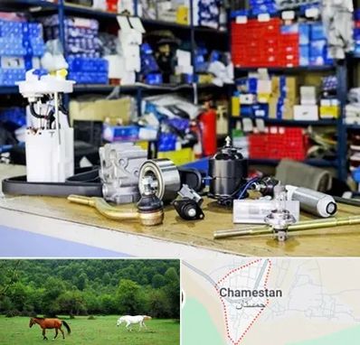 فروشگاه لوازم خودرو در چمستان