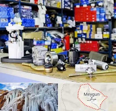 فروشگاه لوازم خودرو در میگون