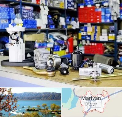فروشگاه لوازم خودرو در مریوان