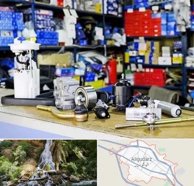 فروشگاه لوازم خودرو در الیگودرز