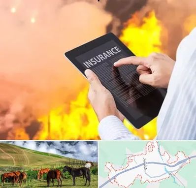 بیمه حوادث در تالش