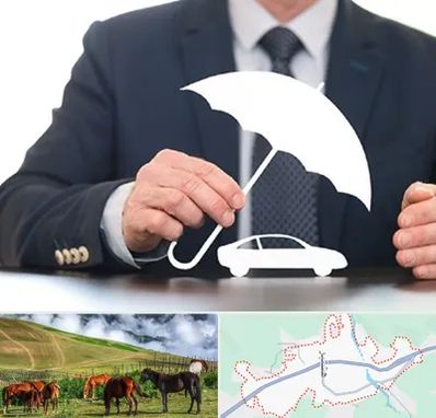 بیمه خودرو در تالش