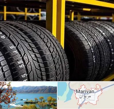 لاستیک اقساطی در مریوان