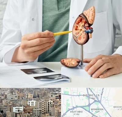 دکتر اورولوژیست در جنوب شرق تهران