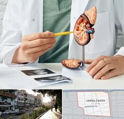 دکتر اورولوژیست در خیابان جمالزاده