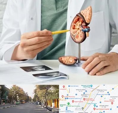 دکتر اورولوژیست در شریعتی 