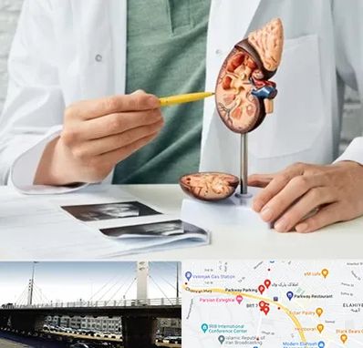 دکتر اورولوژیست در پارک وی 